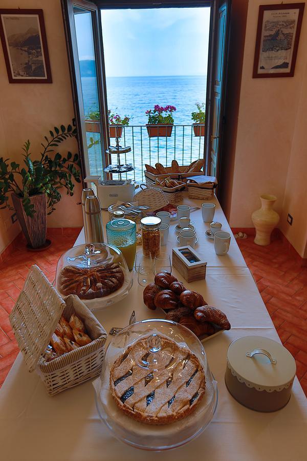 Il Casato Deluxe Scilla